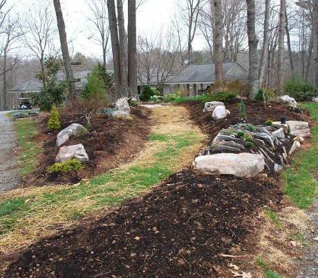 March 23. A week after the stones were in place, the grass path was seeded & strawed, and the first shrubs were planted. I was still shopping for the perfect low ground cover to go into the hottest spot in the "V" of the gravel driveway.